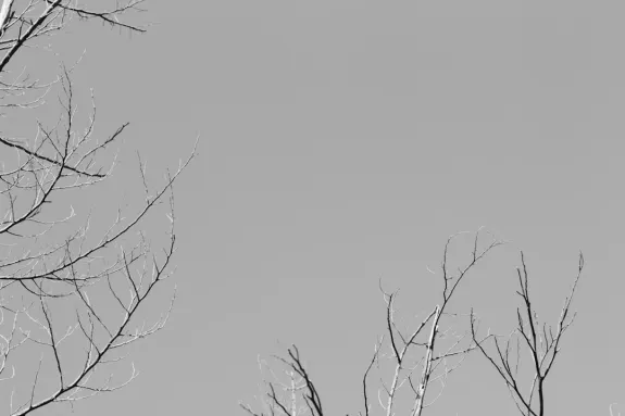 XCasino Kasino Podrška